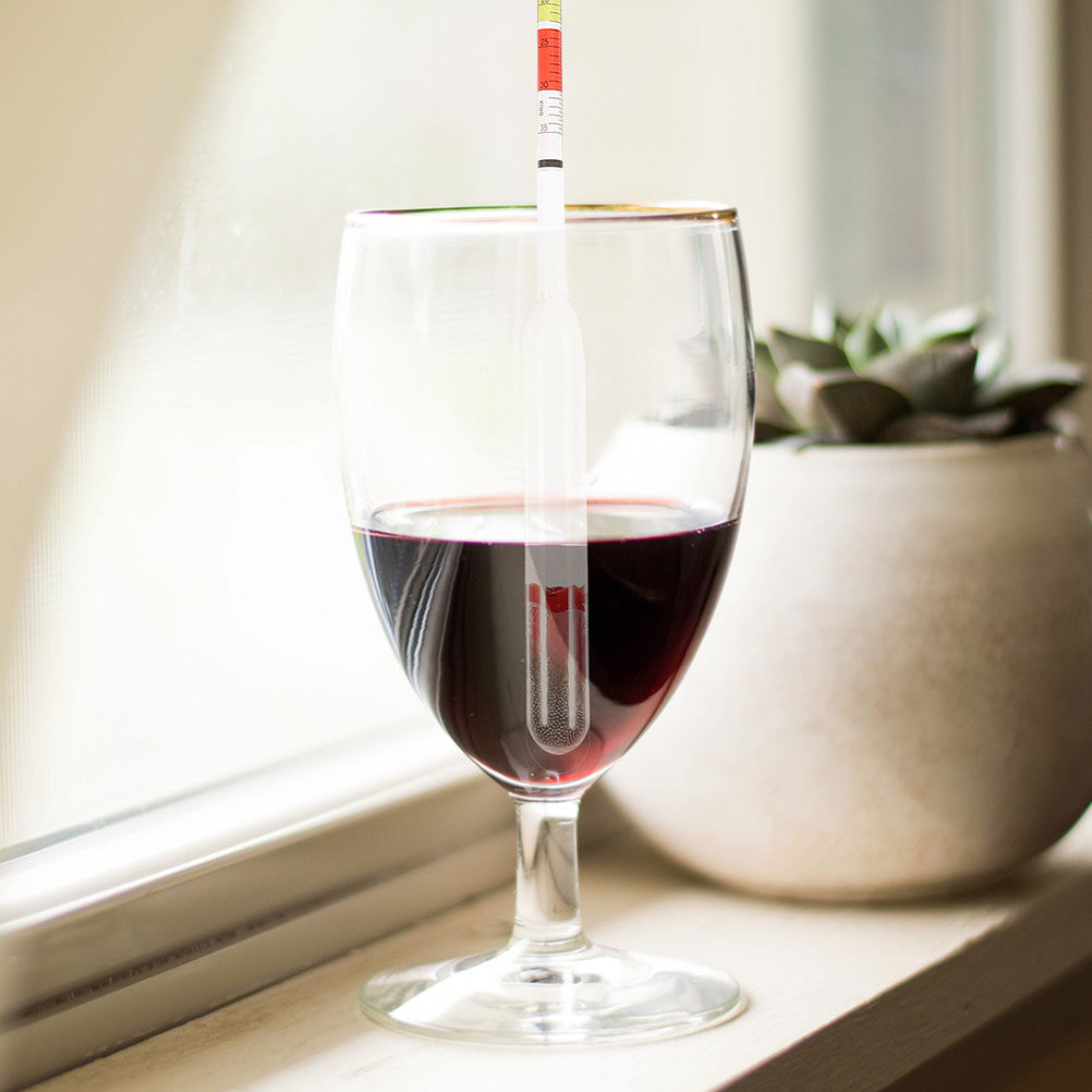 2Pcs Alcohol Hydrometer Precis - Wine Beer And Mead review and price